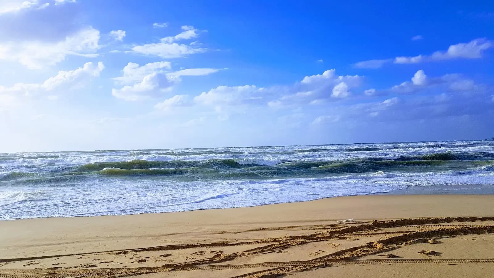 דיונת זיקים