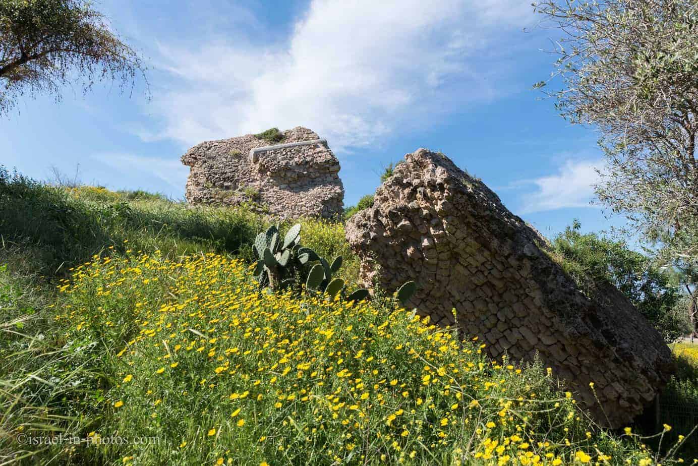 הבזיליקה הרומית